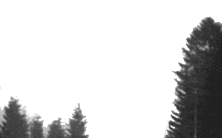 460>_667478